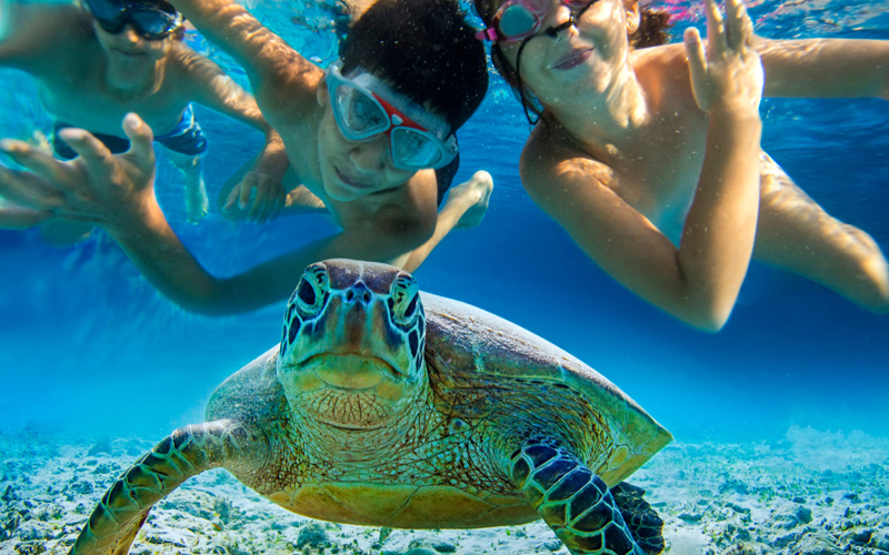 Schildpad zwemmend in de zee met kinderen