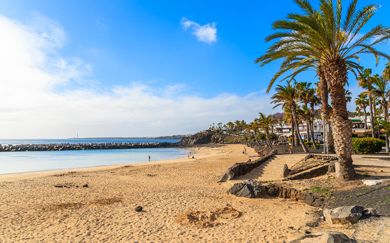 Strand met palmbomen en helderblauwe zee