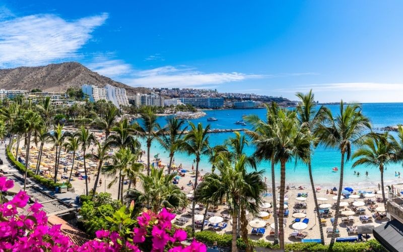 Zonnige boulevard op Gran Canaria met een blauwe zee en hoge palmbomen