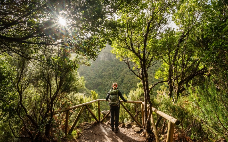 Vrouw bewondert uitzicht tussen de bomen op Madeira