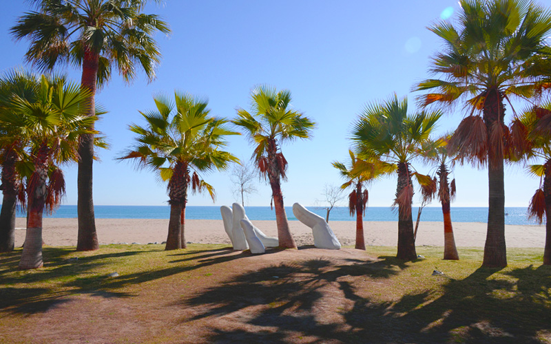 Palmbomen met hierachter het strand en helderblauwe zee