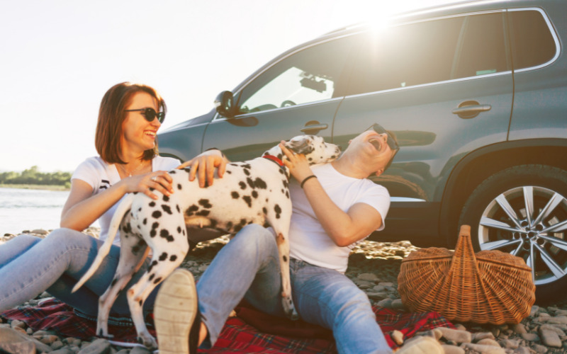 lachend koppel met dalmatier hond bij auto 