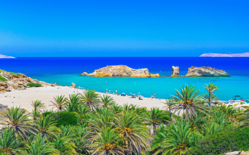 De mooiste stranden van Oost-Kreta: Vai Beach palmenstrand