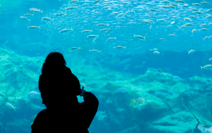 familie voor een aquarium