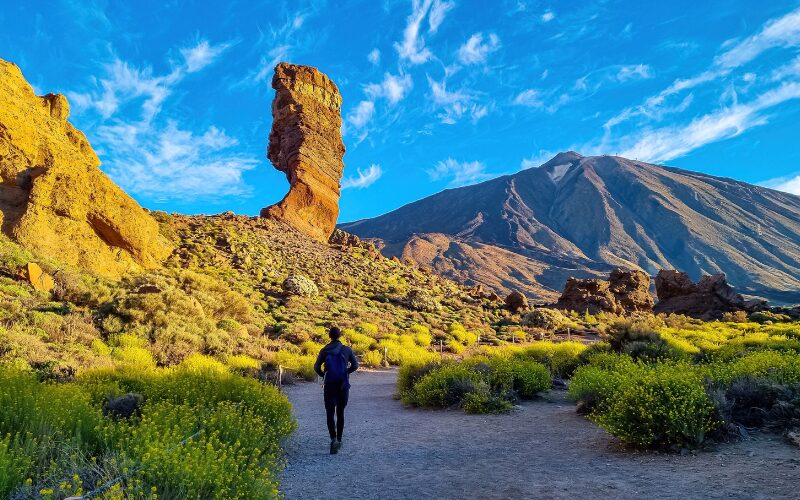 unieke rotsformatie Roque Cinchado op Tenerife